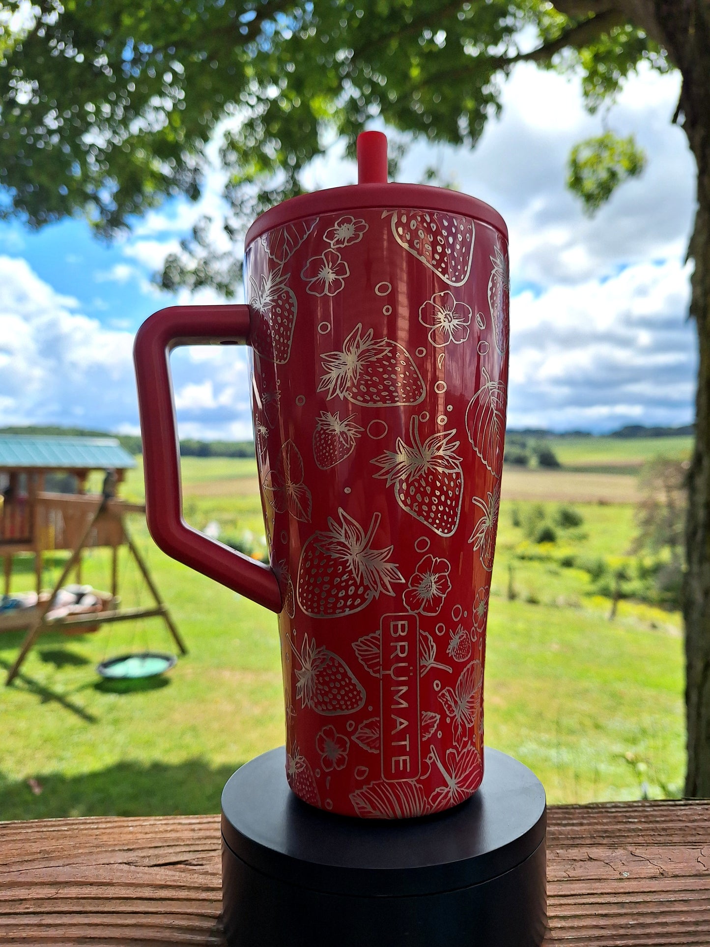 NEW- Shiny Red Strawberries 30 oz. Era