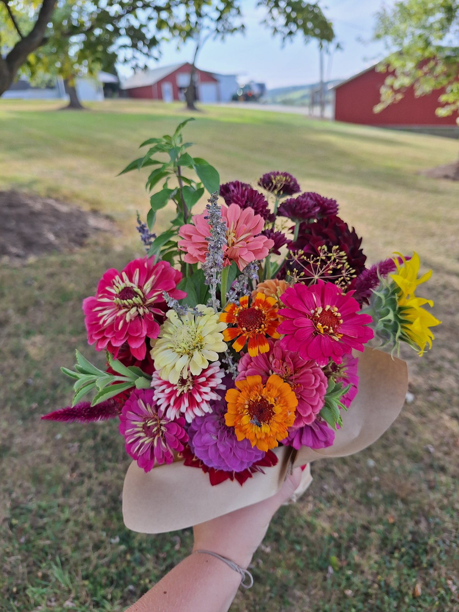 Flower Subscriptions