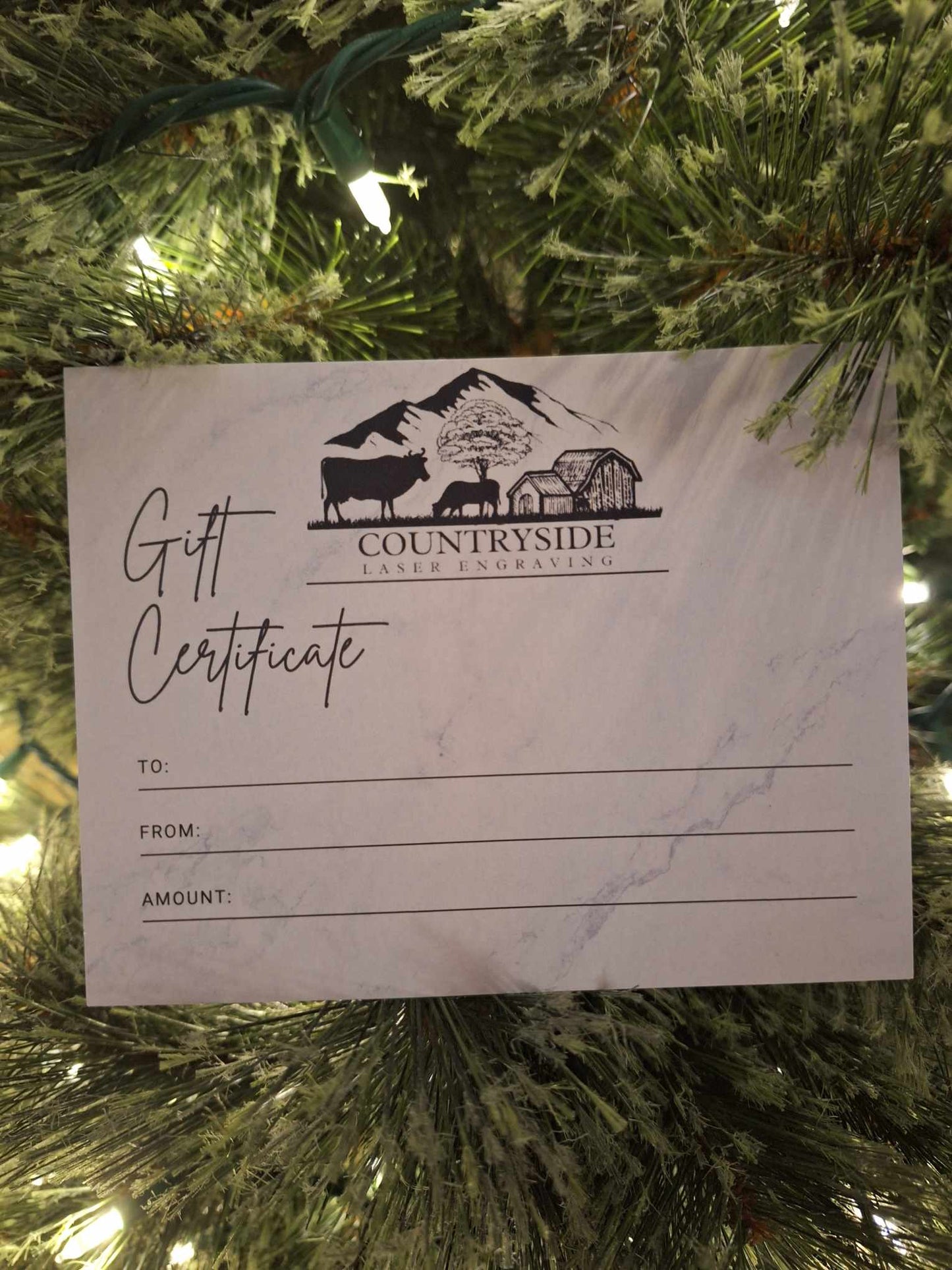 $25 Gift Certificate